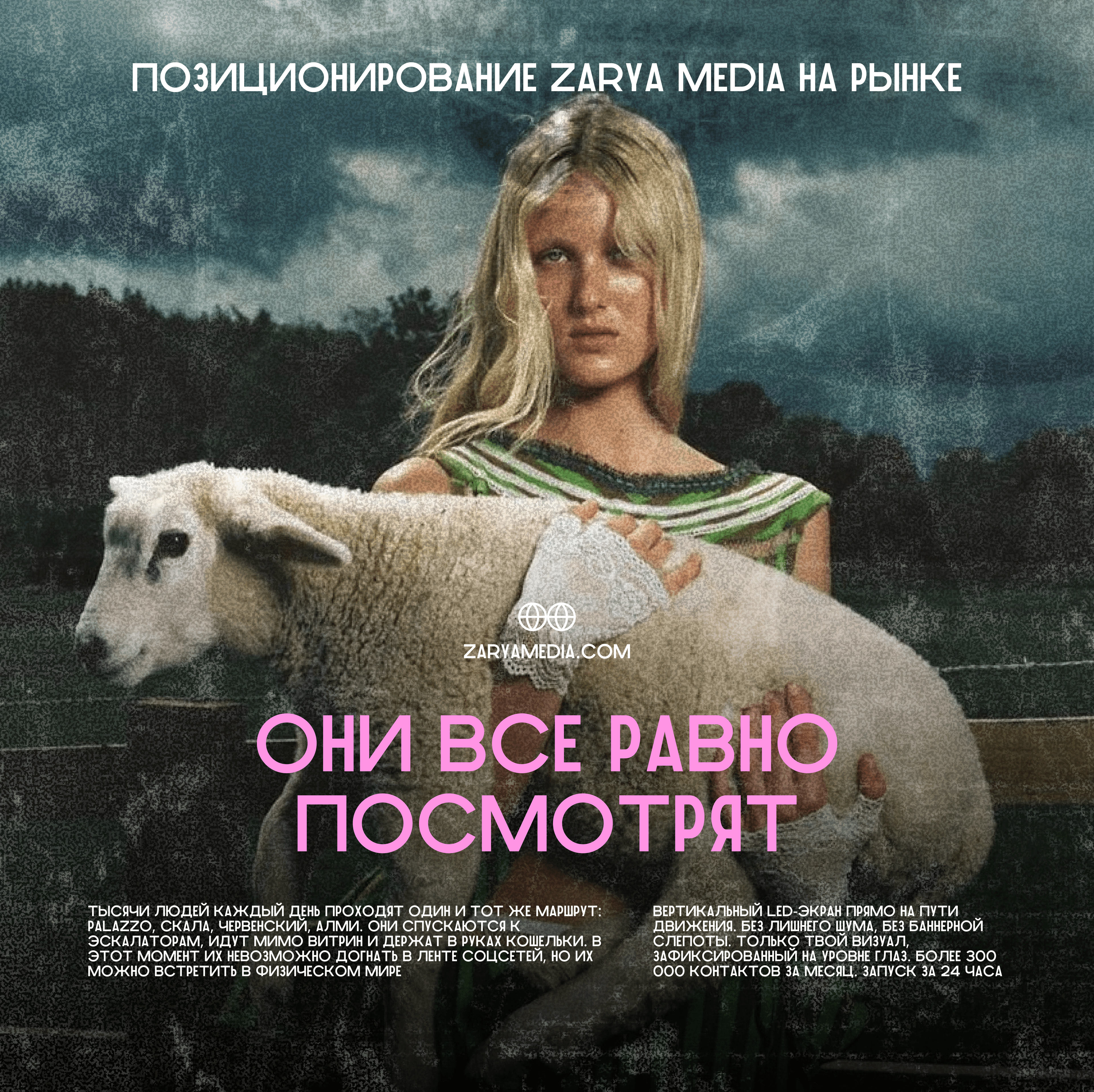 ZarayMedia — галерея 2