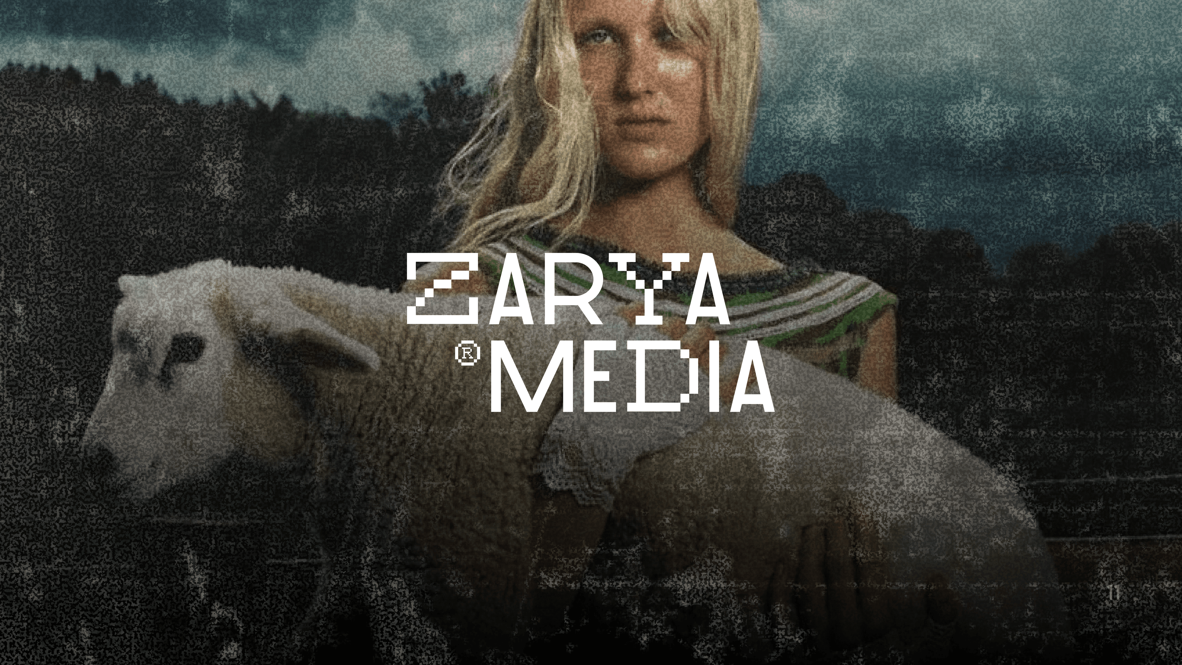 ZarayMedia